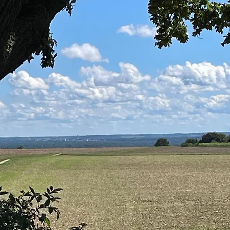 Bunnyhill