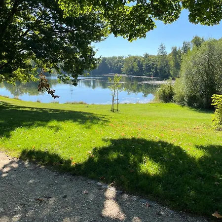 Bunnyhill 公寓 埃尔欣根