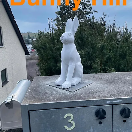 Bunnyhill
